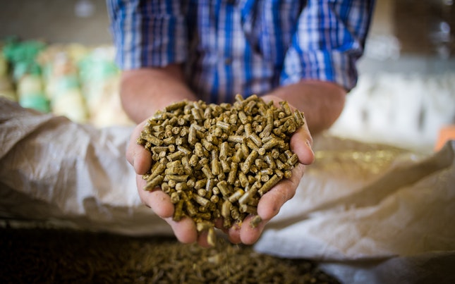 Yemek masasının üstten görünümü