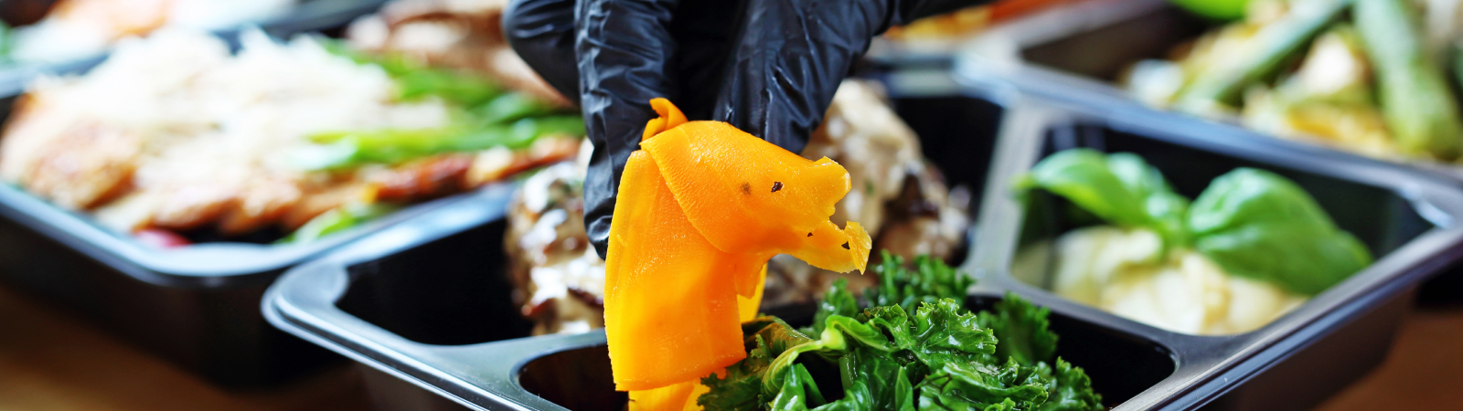 Appetizing Lunch Boxes