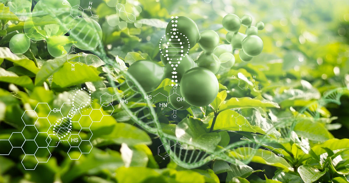 Molecular Breeding | SGS