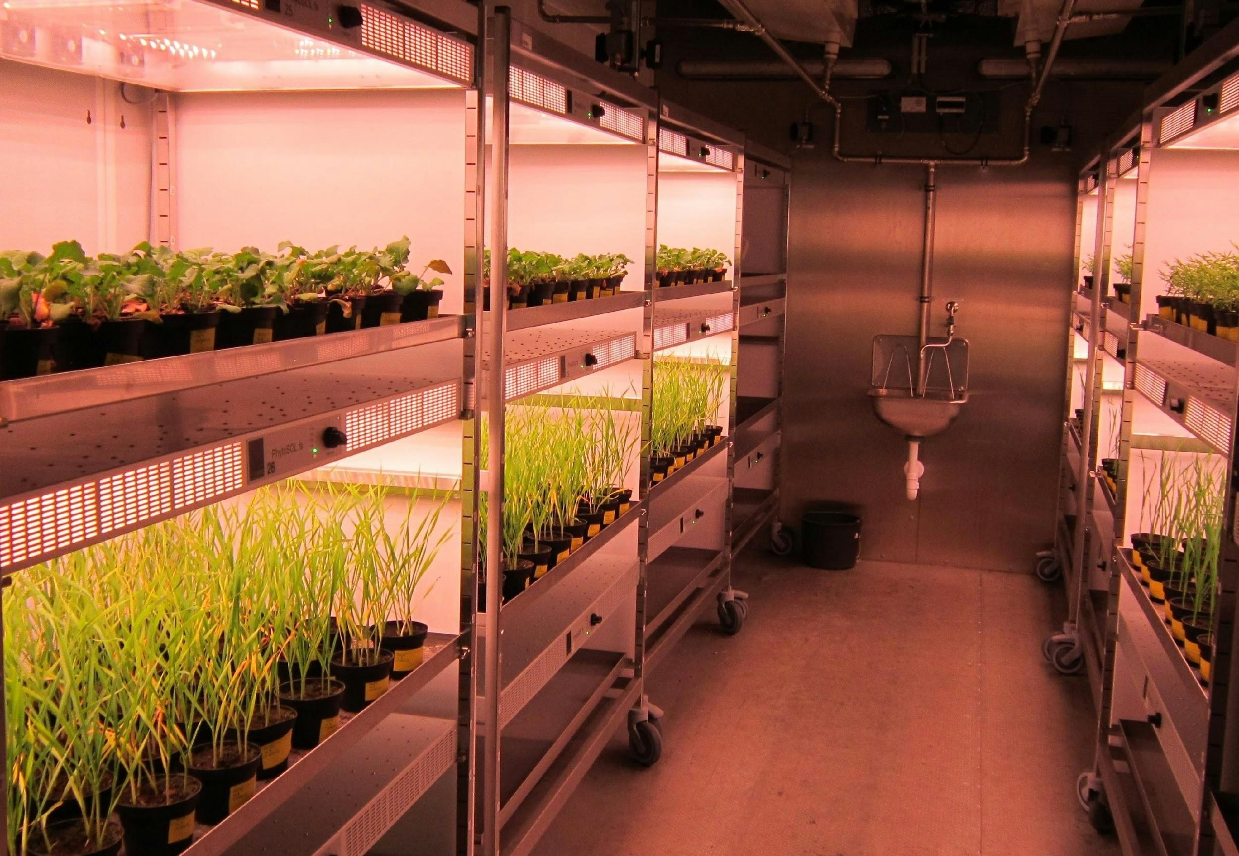Biopesticides Lab