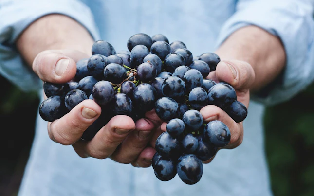 Black Grapes