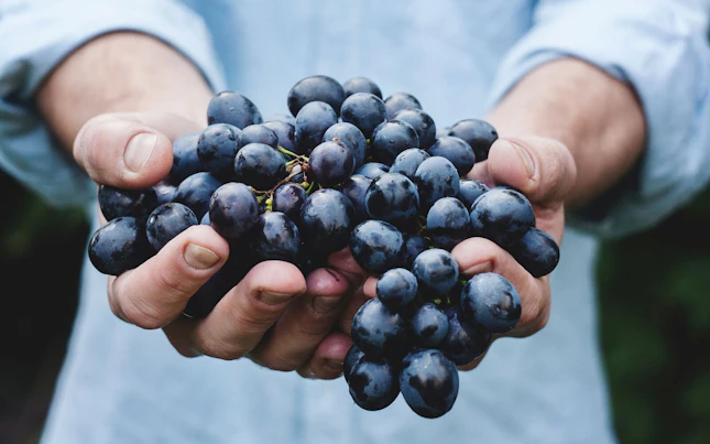 Black Grapes
