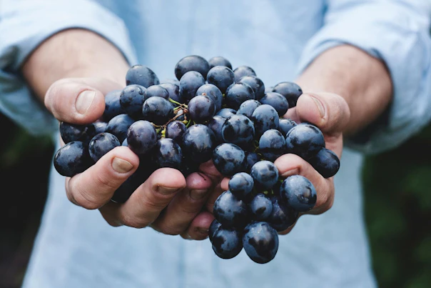 Black Grapes