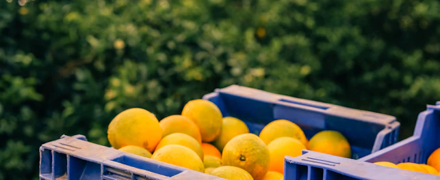 Higiene e segurança alimentar responsabilidade partilhada