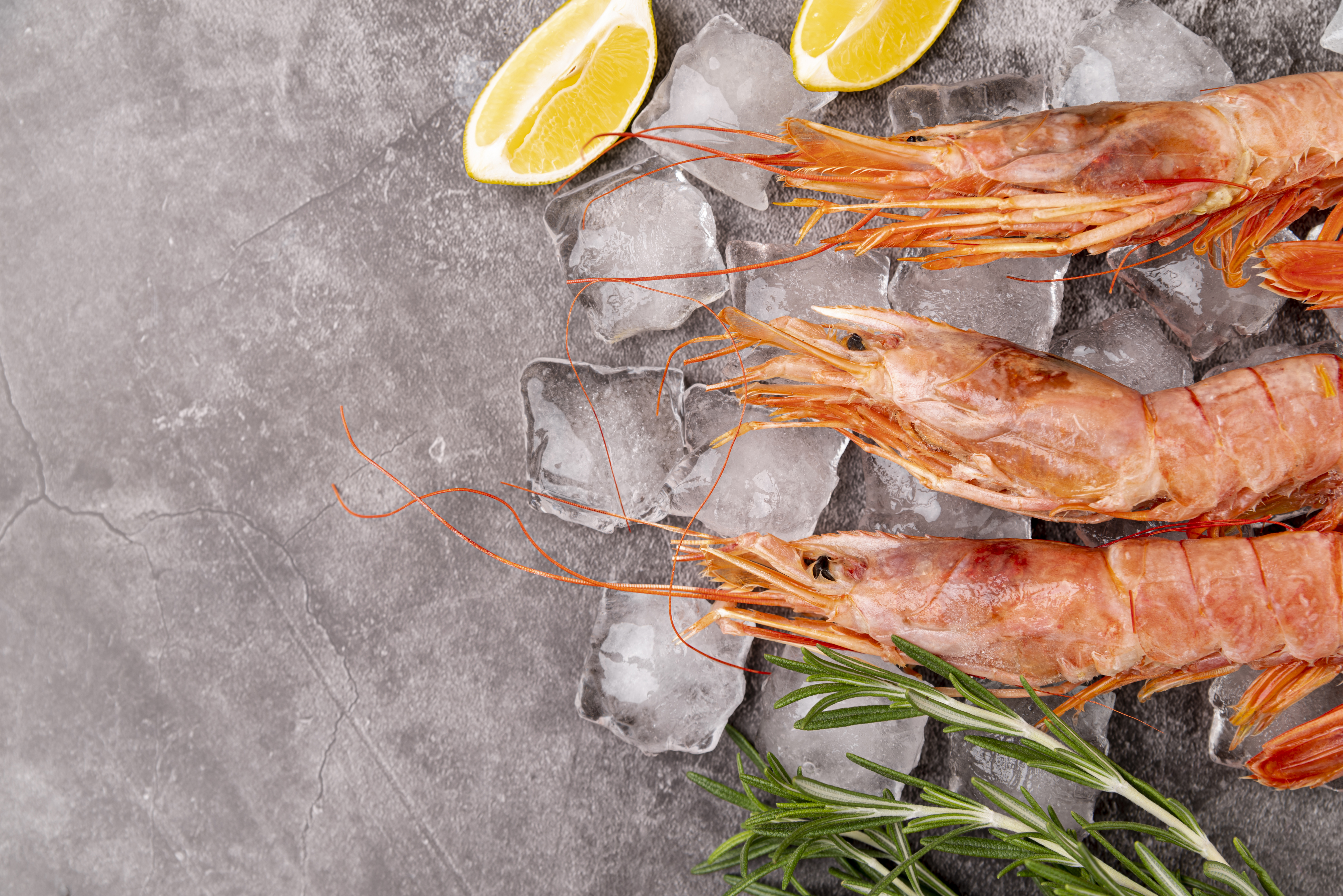 camarones mediterraneos