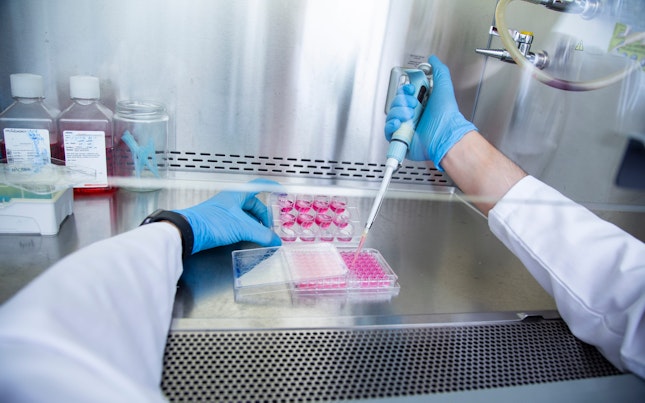 Cell Virus Bank and Starting Materials