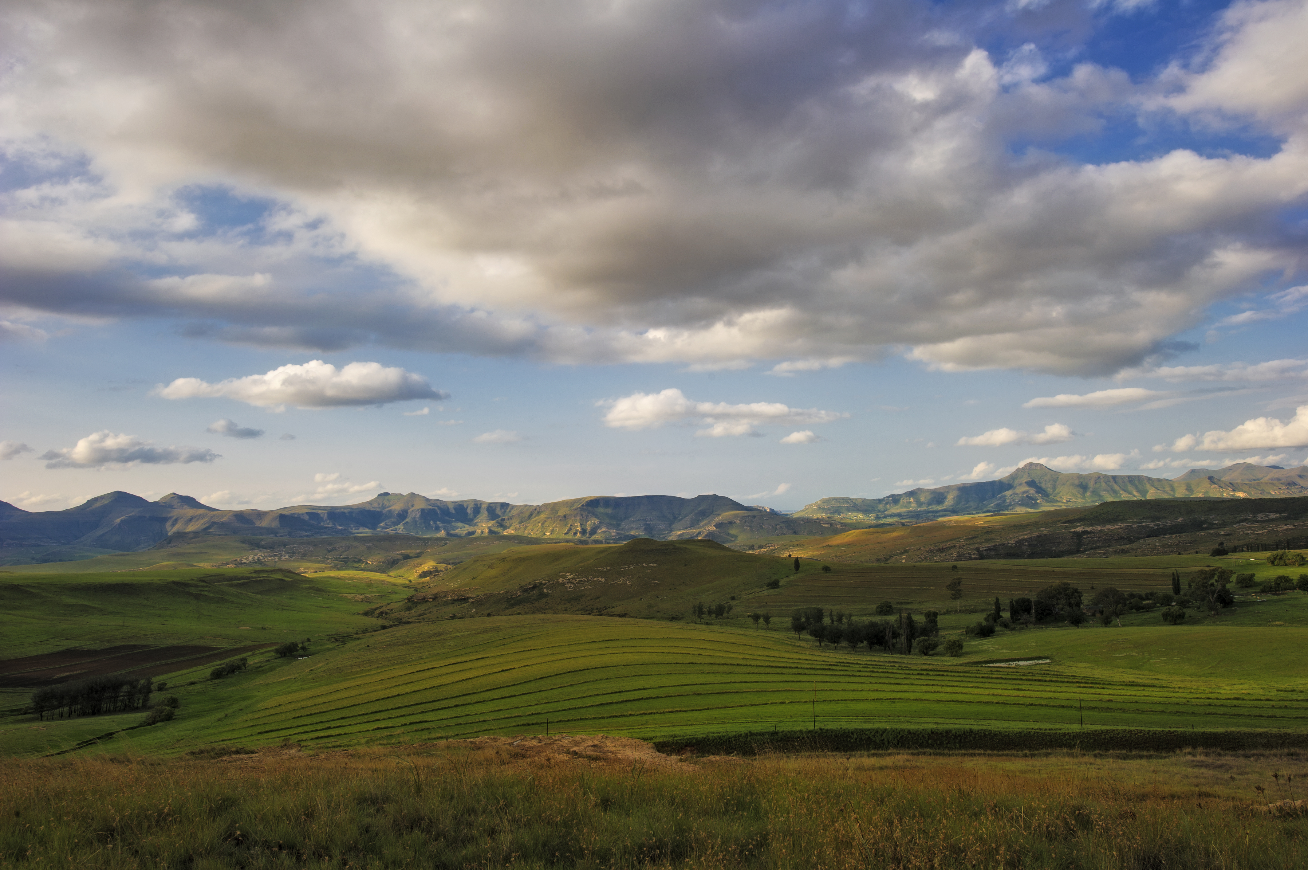 Climate Neutral Group