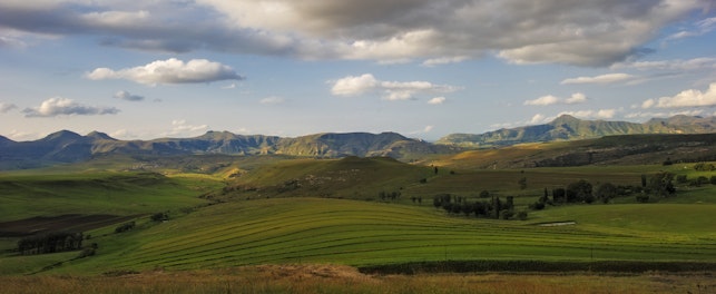 Climate Neutral Group