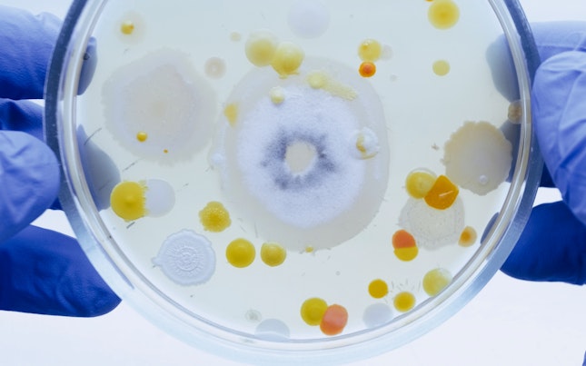 Étkezőasztal felülnézetből