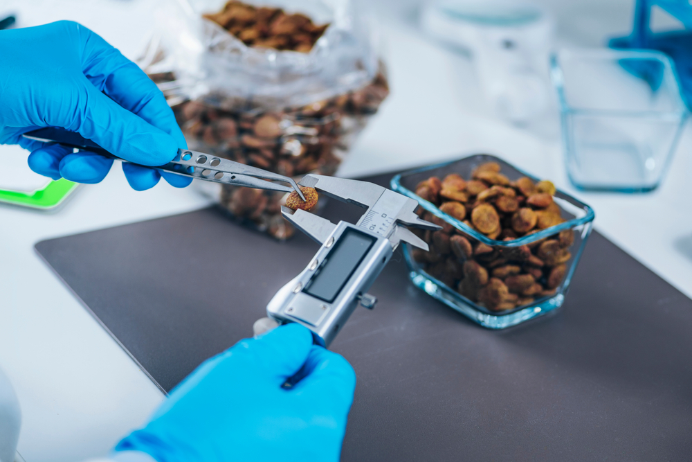 Cocoa beans inspection