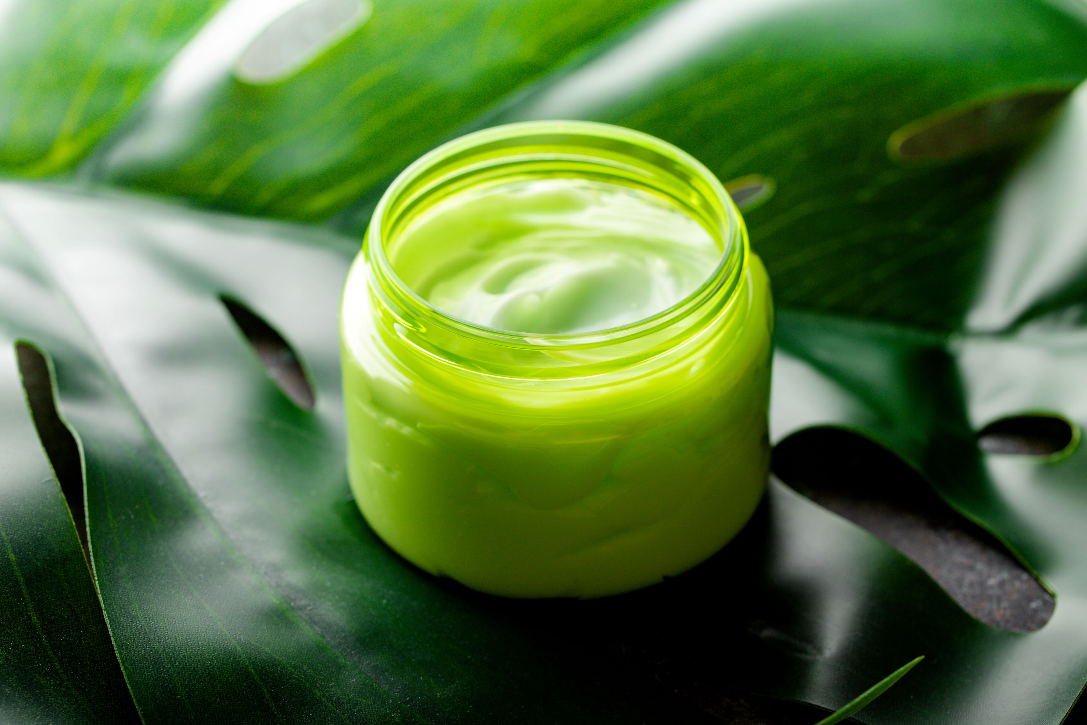 crème cosmétique sur feuille verte