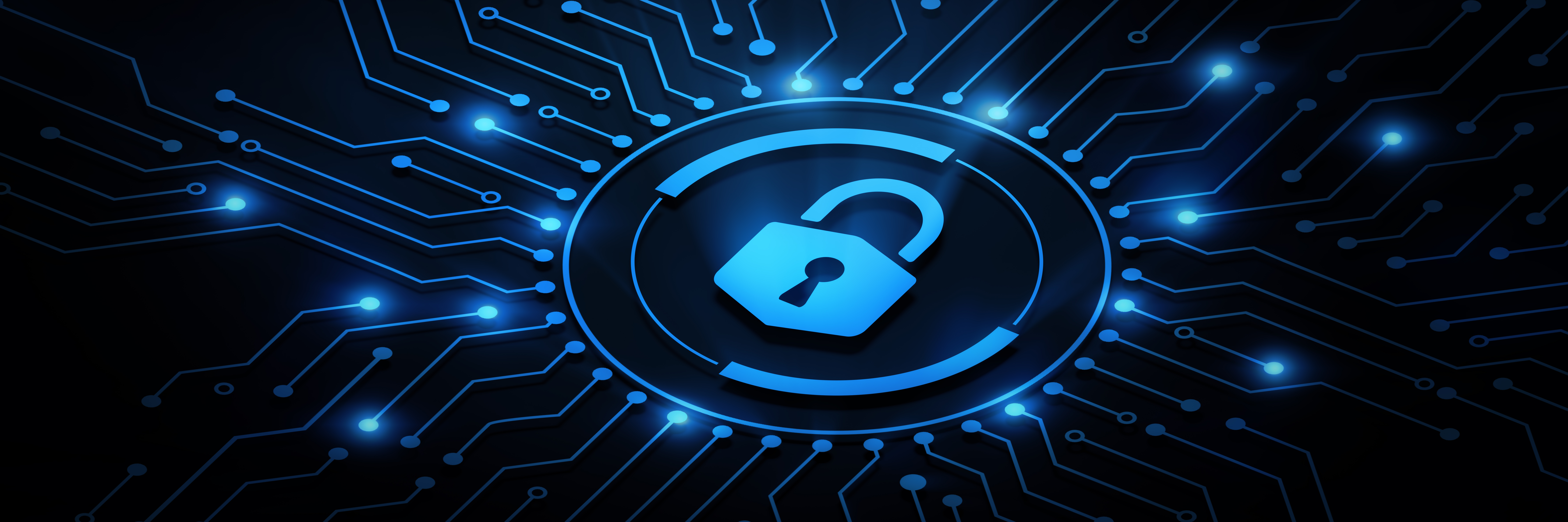 Cybersecurity Concept