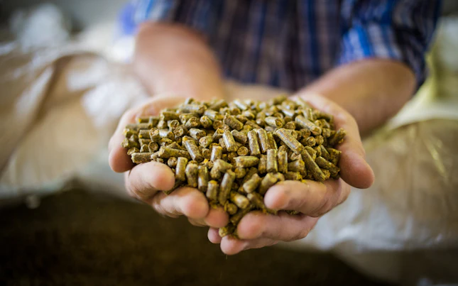 Pellets on Hand