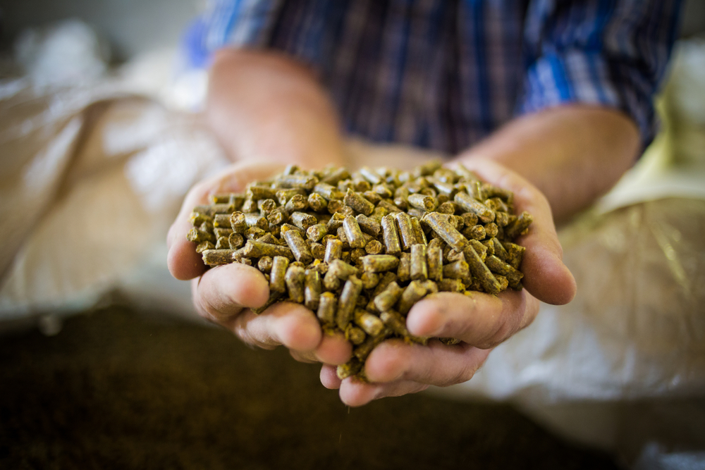 Pellets on Hand