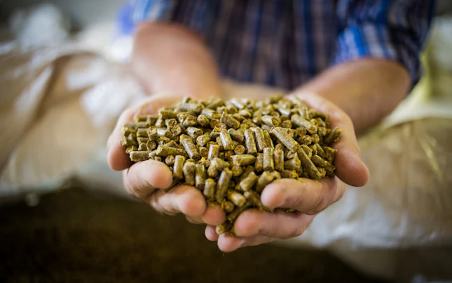 Pellets on Hand