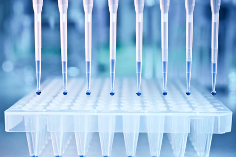 DNA Samples are Loaded to 96 Well Plate for PCR Analysis