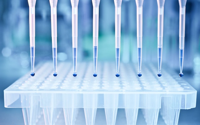 โหลดตัวอย่าง DNA ลงในจานแบบ 96 หลุมสําหรับการวิเคราะห์ PCR