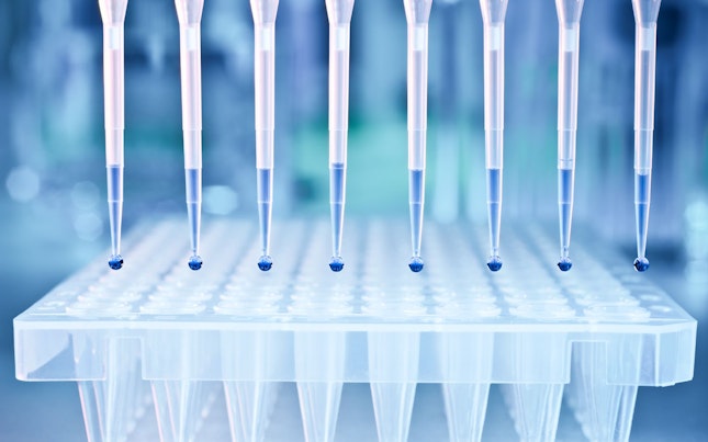 DNA Numuneleri PCR Analizi için 96 Hücreli Plakaya Yüklenir