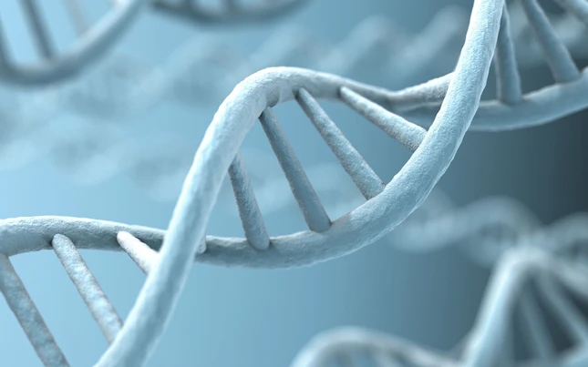 DNA Strands