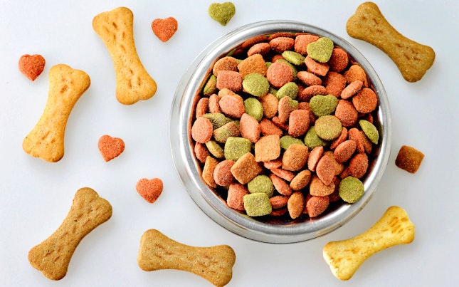 Dog Food in Bowl and Dog Biscuits