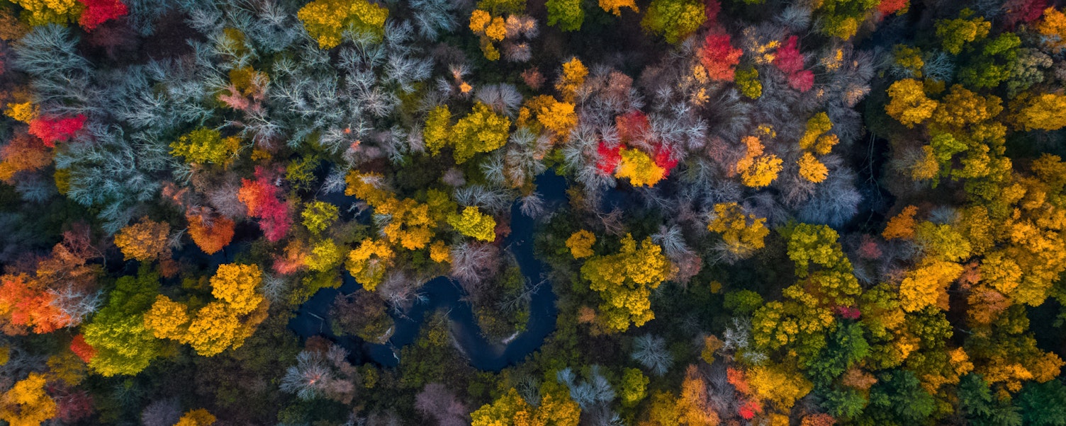 Environment Biodiversity