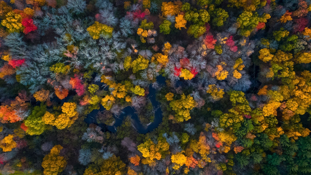 Environment Biodiversity