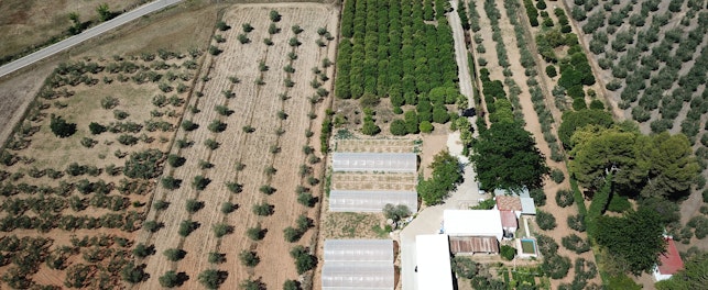 Field station Benacazon overview 2023