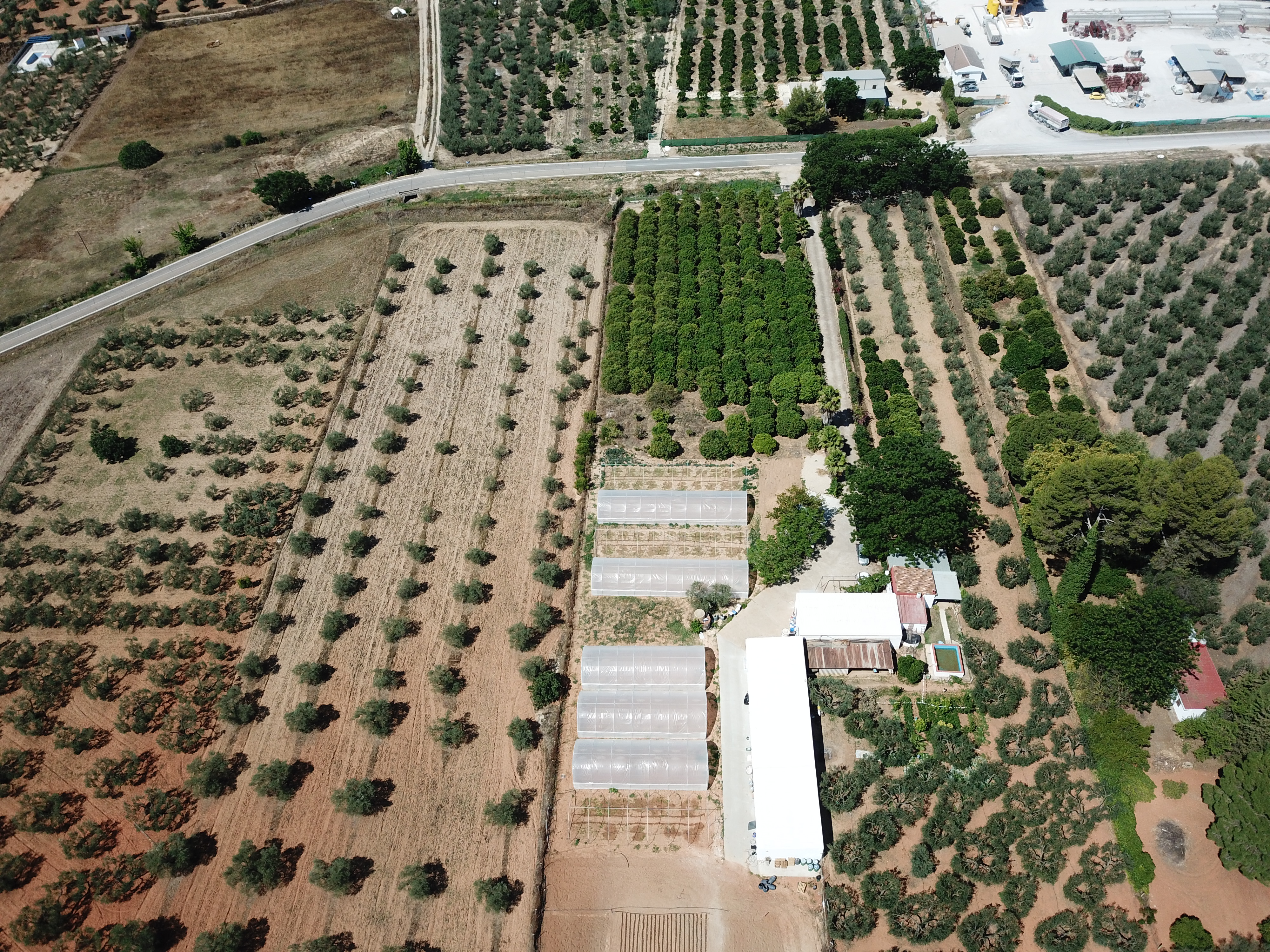 Field station Benacazon overview 2023