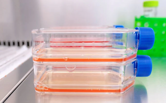 Flask SGS Biosafety Testing Laboratory Glasgow UK