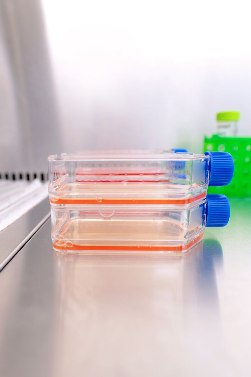 Flask SGS Biosafety Testing Laboratory Glasgow UK