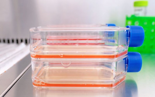 Flask SGS Biosafety Testing Laboratory Glasgow UK