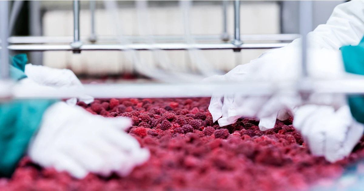 The SGS Guide to FSSC 22000 V6: How to Ensure a Smooth Transition | SGS ...