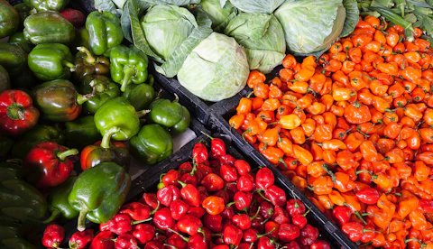 Fresh Vegetables at Farmers Market