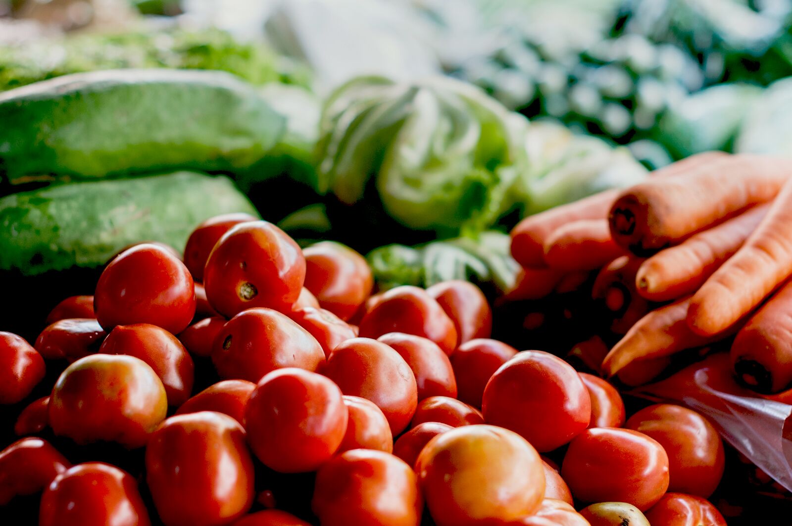 Fresh Vegetables