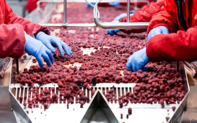 Frozen Fruit Factory