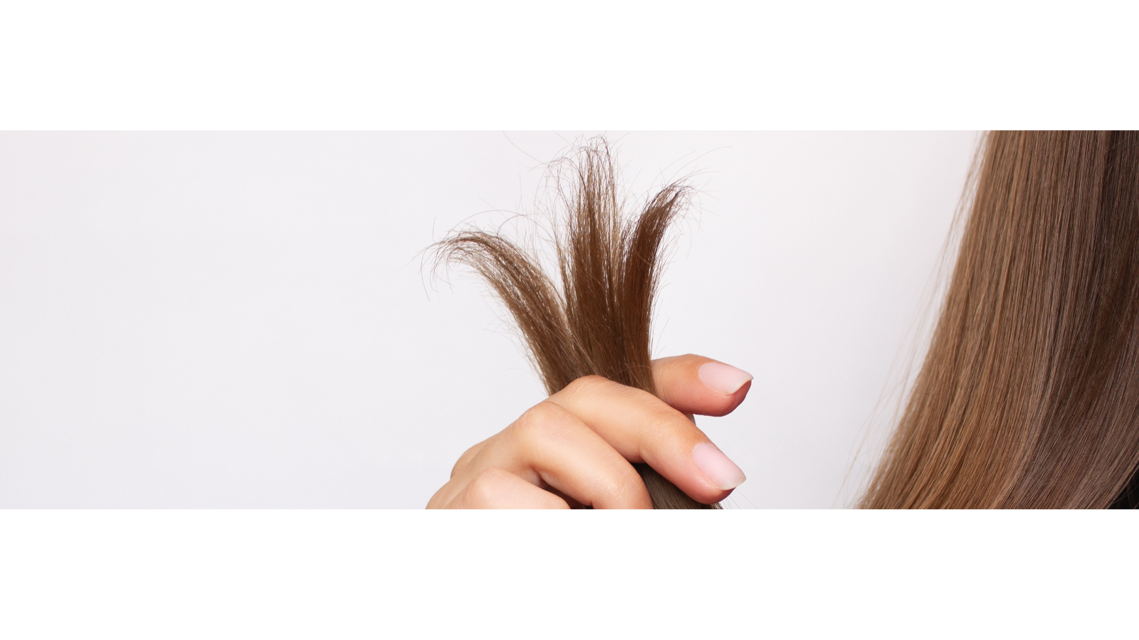 Hair