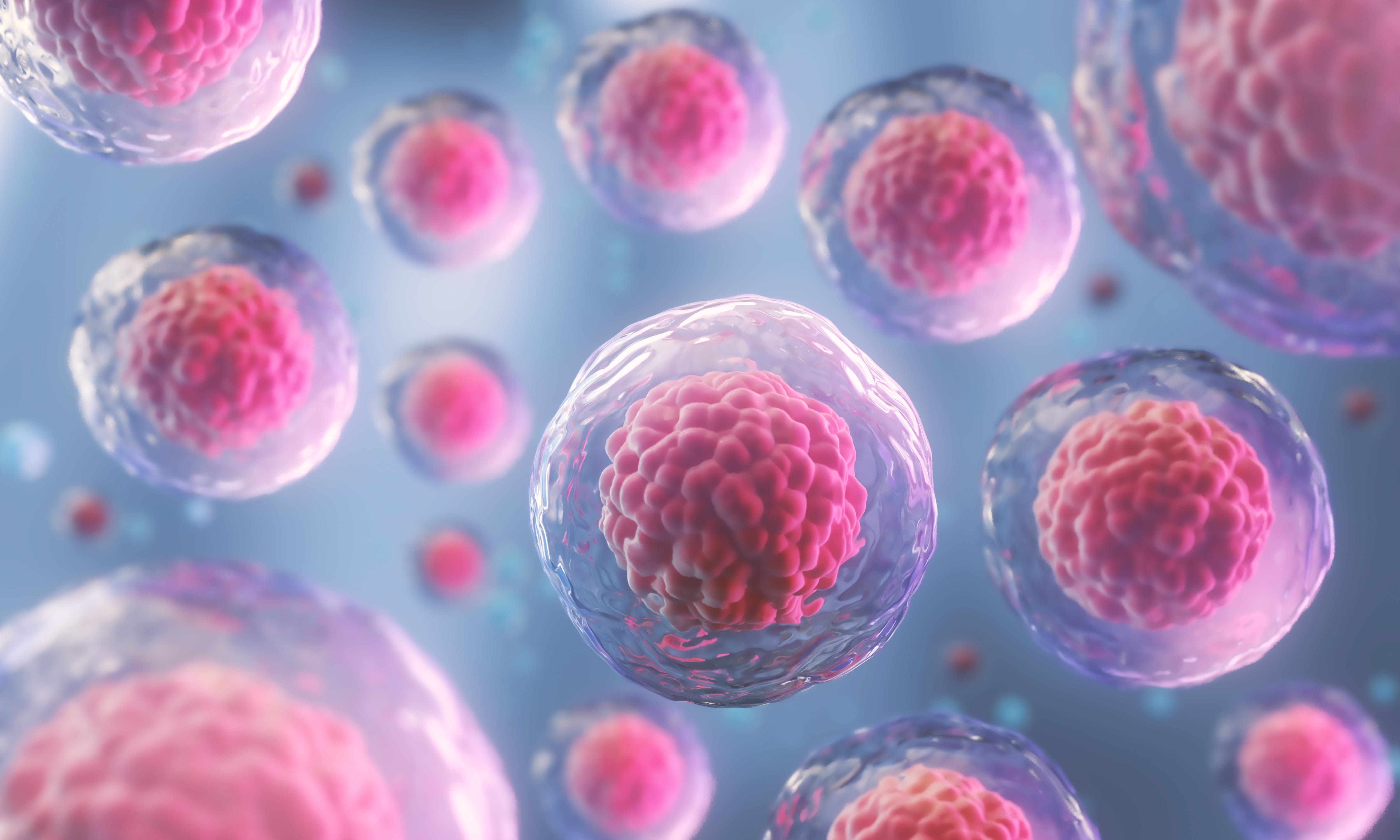 Human Cell or Embryonic Stem Cell under the Microscope