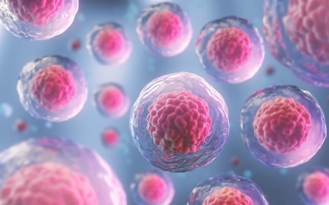Human Cell or Embryonic Stem Cell under the Microscope