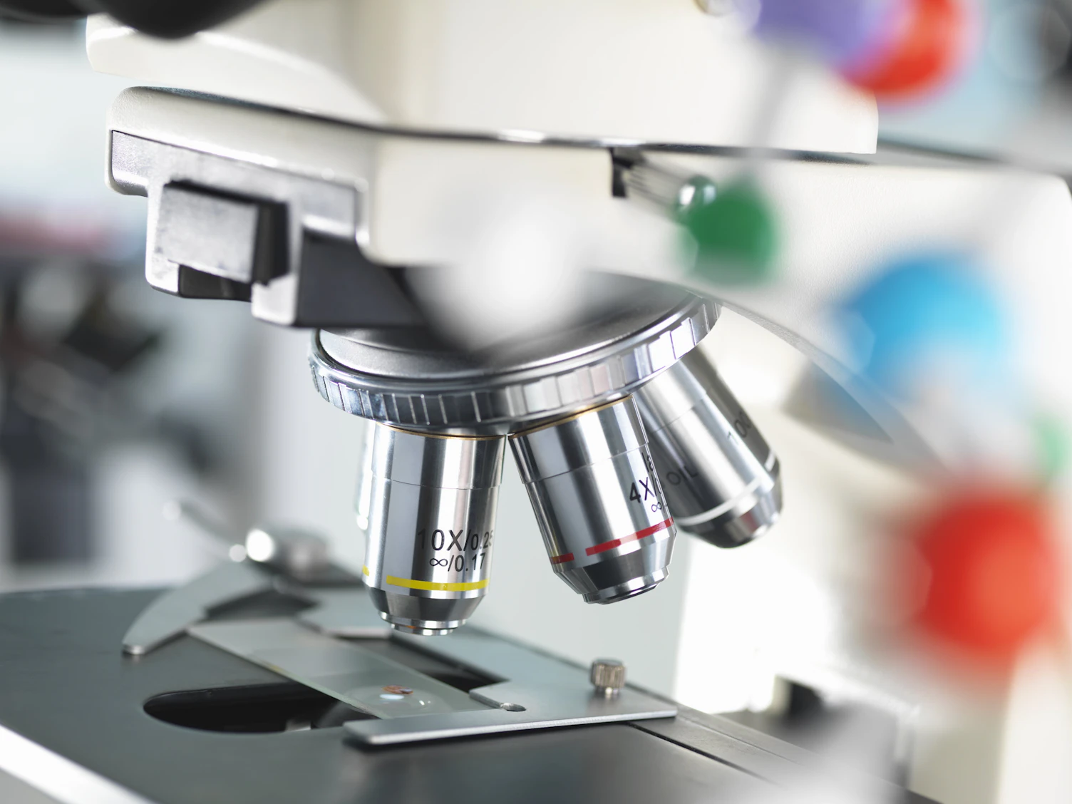 In Vitro Testing