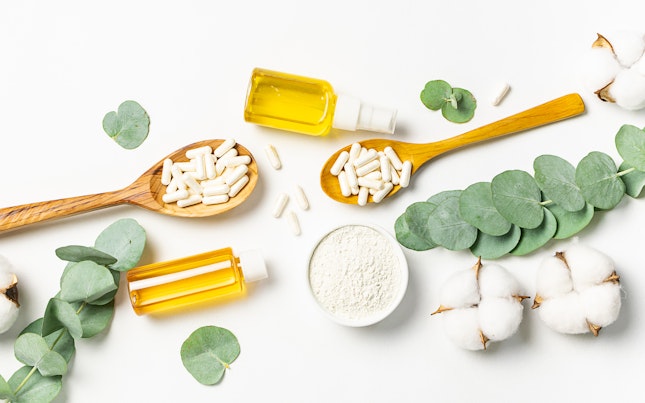 International Genetically Modified Organism