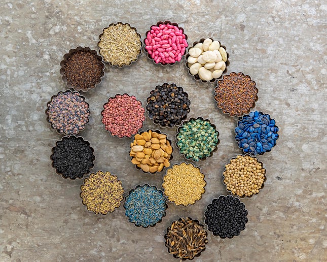 Seeds