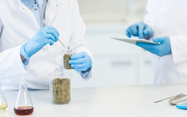 Lab Analysts Analyzing Food Samples