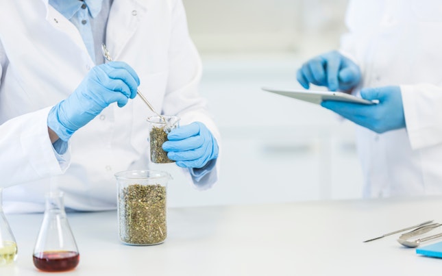 Lab Analysts Analyzing Food Samples