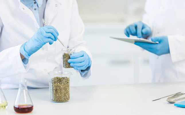 Lab Analysts Analyzing Food Samples