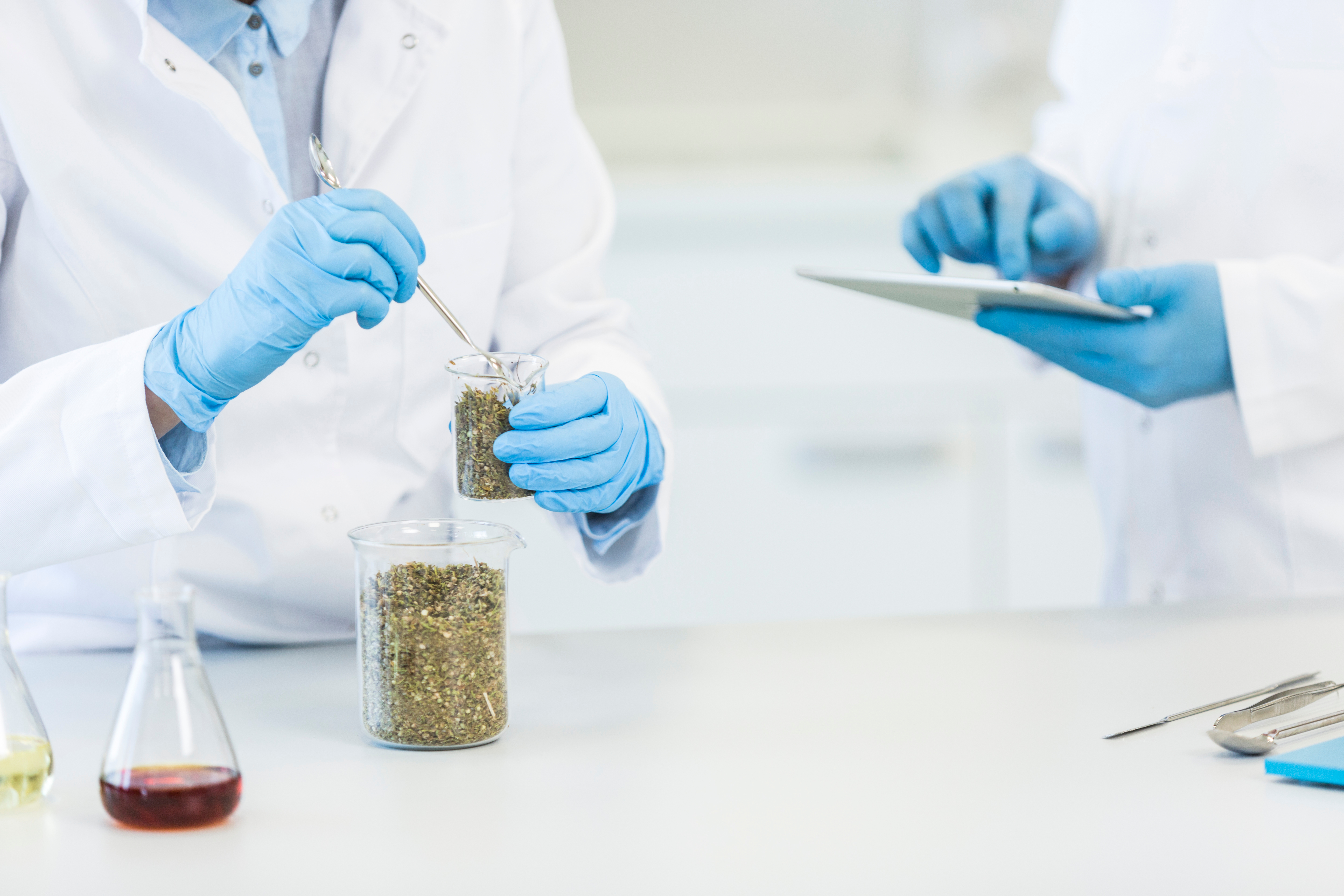 Analistas de laboratorio analizando muestras alimentarias