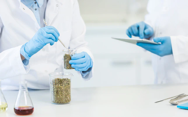 Lab Analysts Analyzing Food Samples