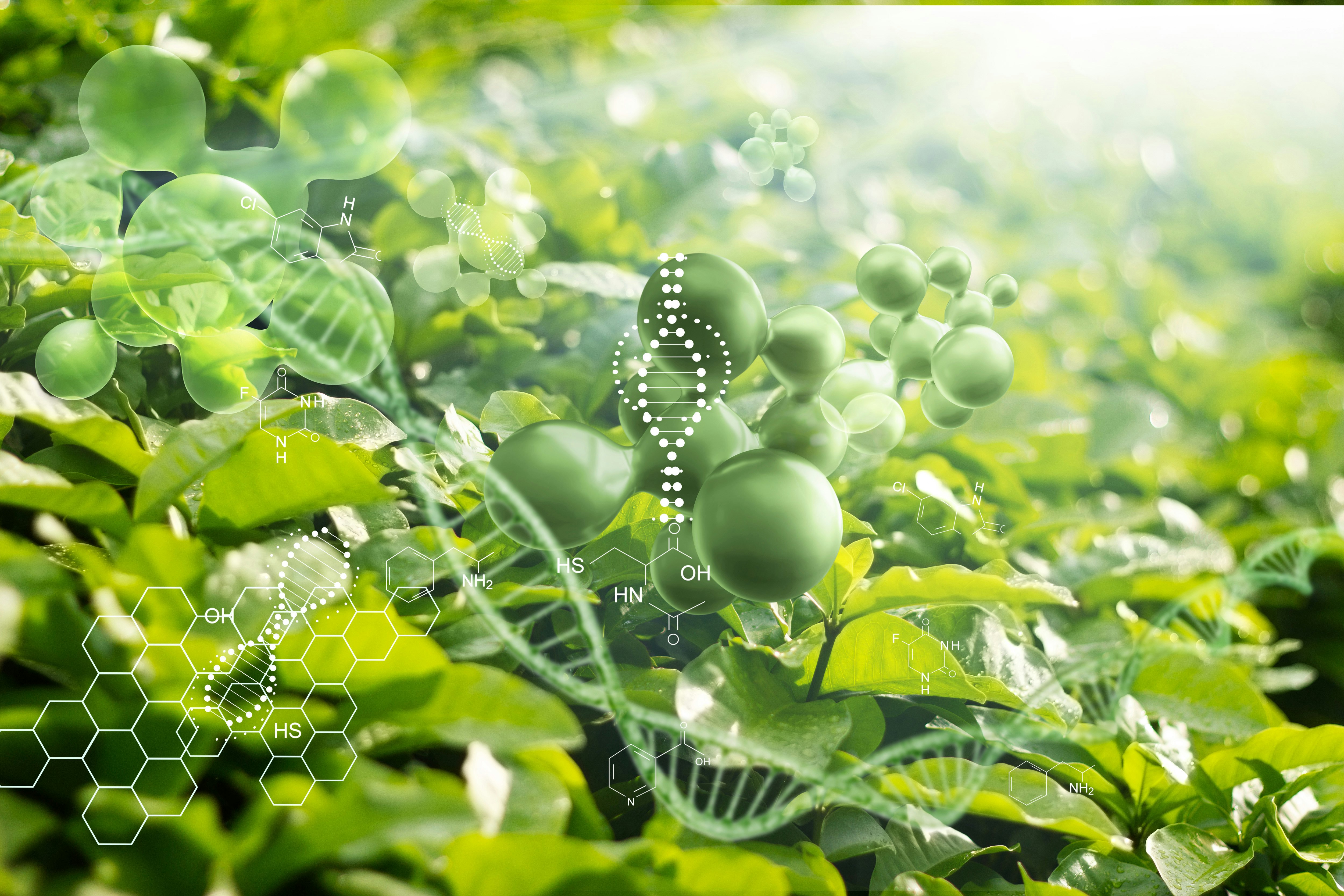 Leaves with Chemical Elements