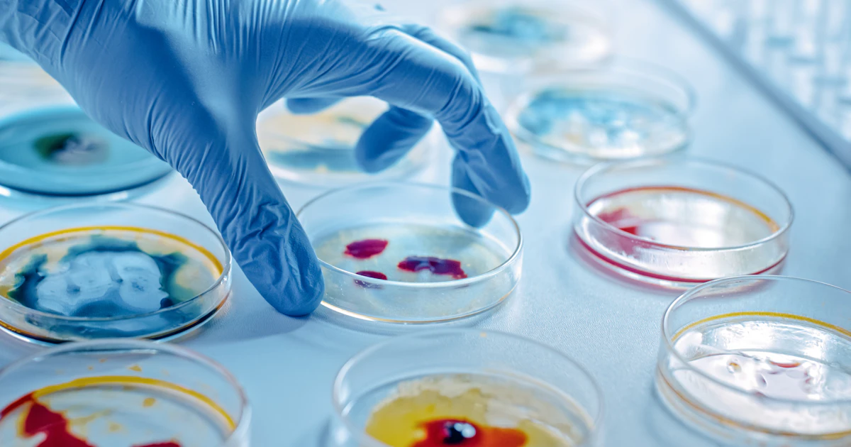 Analytical Microbiological & In-Vitro Testing for Cosmetics & Hygiene