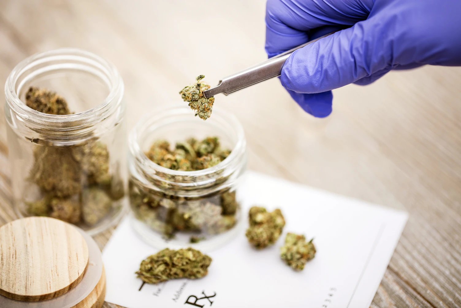Medical Marijuana Buds