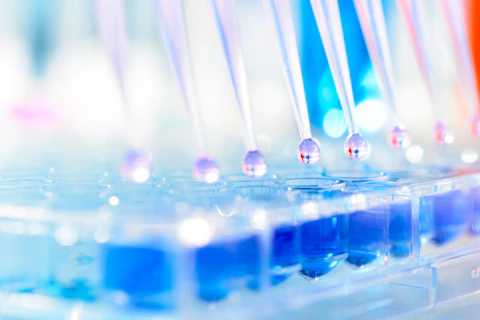 Multichannel Pipettes and Multi Well Plates